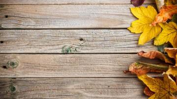 Wallpaper Background Tree Colorful Wood Texture