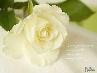 List Of Flower Names And Its Meaning