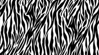 Zebra Print Pictures
