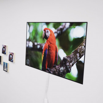 Marques Brownlee On X Lg 4k Oled W Is In The Studio So Thin