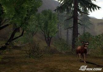 Cabela S Deer Hunt Season Screenshots Pictures Wallpaper