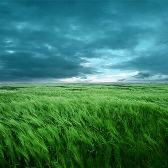 Cloudy Day iPad Wallpaper To