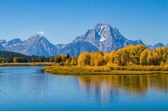 Wyoming HD Flower Image Love Smell Grand Teton Forest Autumn