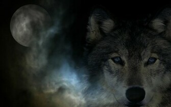 Dark Wolf Background Darkwolf Computer Wallpaper