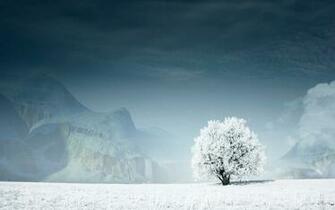 Beautiful Winter Wallpaper For Dekstop