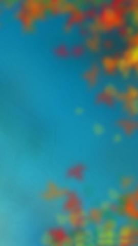 Fallen Autumn Leaves iPhone Wallpaper