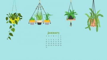 January Calendar Wallpaper Designs To Choose From