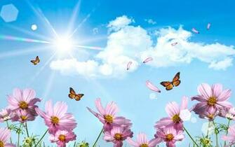 Desktop Wallpaper Springtime