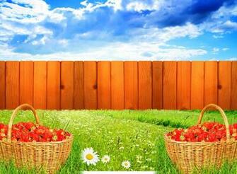 Garden Pictures For Background
