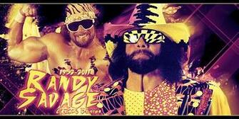 Macho Man Randy Savage Wallpaper Image Pictures Becuo