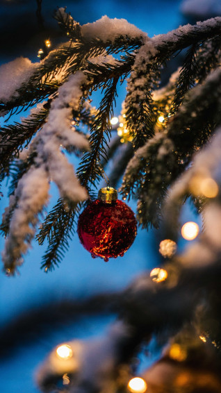 Red Bauble On Green Christmas Tree Photo Plant Image