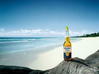 Corona Extra Orange Beer Picture HD Wallpaper