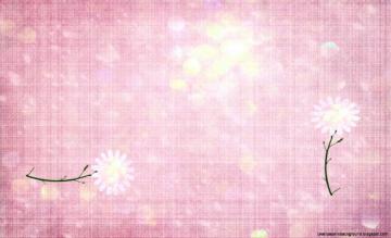 Best Cute Heart Background Pink