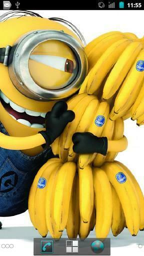 High Quality Fan Wallpaper About Minions The Live