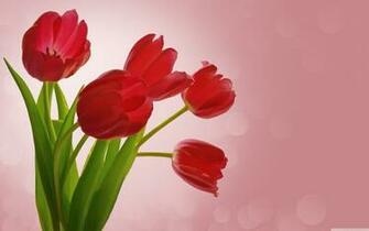 Image Wallpaper
