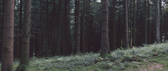 Ultra Wide Nature Wallpaper
