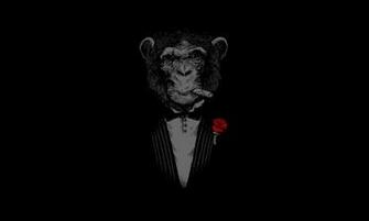 Cigars Roses Swag Wallpaper Cool HD