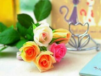 Beautiful Multicolor Flowers HD Wallpaper
