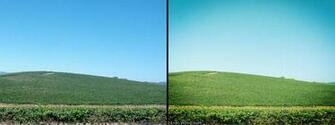 Windows Xp Wallpaper Hill Bliss
