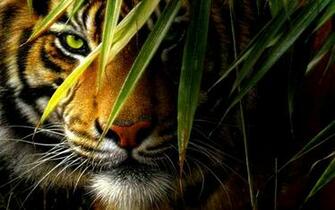 Fantasy Tiger Wallpaper Hiding HD