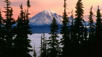 Mount Rainier Washington