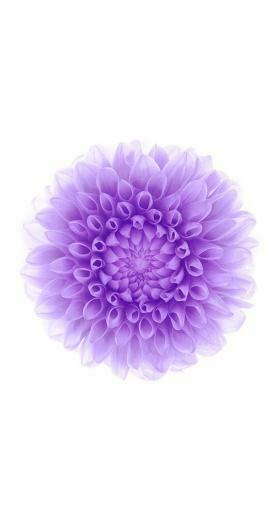All The Ios Wallpaper For iPhone And iPad