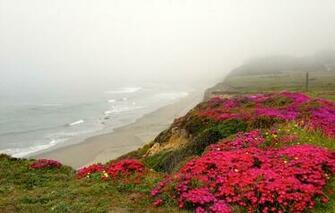 In Sea Ranch Ca Traveler Photo Contest National Geographic