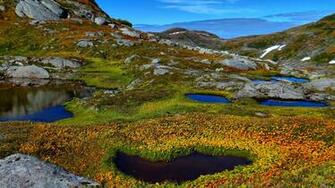 Nature Mountains Pond Water Plants Rocks Wallpaper