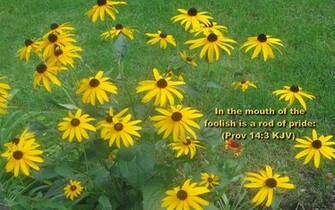 Year Bible Verse Greetings Card Wallpaper