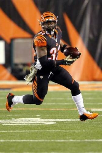 Cincinnati Bengals Running Back Jeremy Hill Is Only A Rookie But He