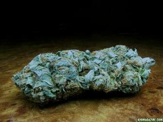 Og Kush Wallpaper Ing Gallery