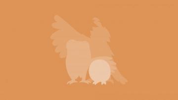 4k Dartrix Pok Mon Wallpaper Hintergr Nde