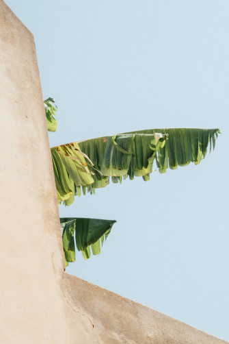 Beige Minimalist Wallpaper