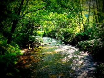 Shop Today Fly Wallpaper Lure Fishing Where Scenery