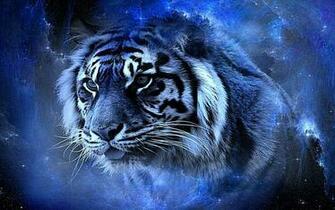 Cool Tiger Background Image Amp Pictures Becuo