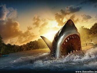 Shark Wallpaper Deadly White Sharks HD