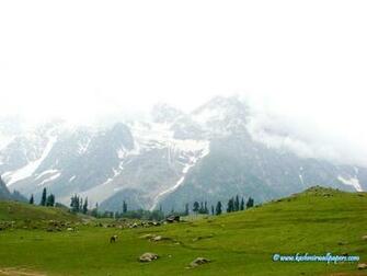 HD Wallpaper Kashmir And Photographs X Kb Jpeg