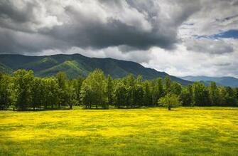 Cades Cove Summer Movdata