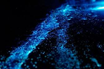 Green Fluorescent Protein Shining New Light On Food Qc