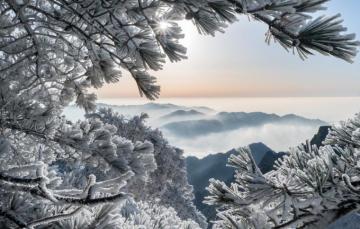 Wallpaper Winter Frost Mountains Branches China Pine