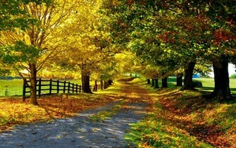 High Definition Wallpaper Photo Fall Html