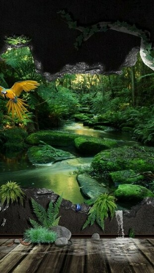 Wallpaper For iPhone HD Nature