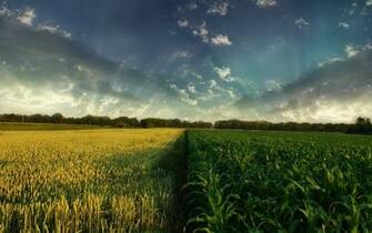 HD Wallpaper Pics Surrealism