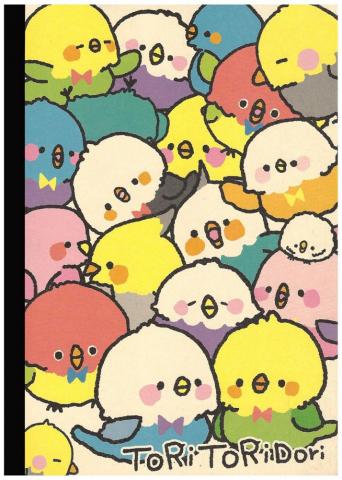 Kamio Tori Rainbow Birds B5 Notebook Kawaii Cute Art