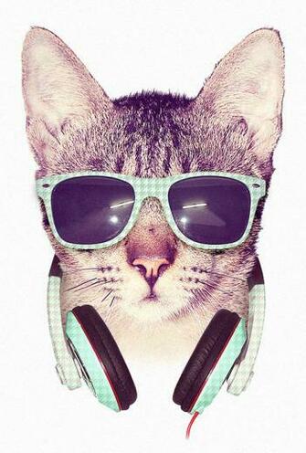 Cool Cat By Dzeri