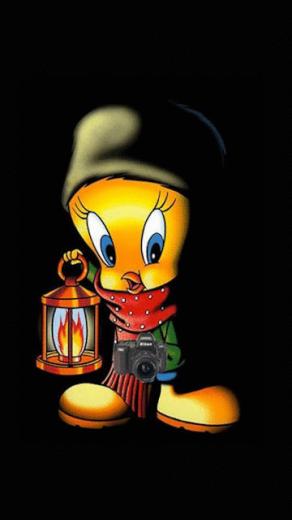 Tweety Screensaver Wallpaper360x640 Wallpaper