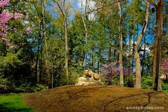 William Ames Photography Penn State Wallpaper