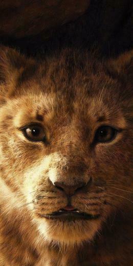 Simba The Lion King Movie Wallpaper Absolutely