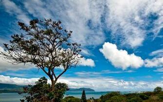 Scenery Wallpaper Desktop Quoteko