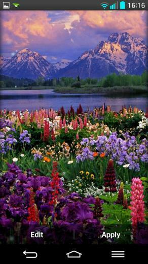 Spring Live Wallpaper Android Apps On Google Play